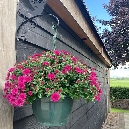 Vinkenbuurt De Bargヴィラ エクステリア 写真