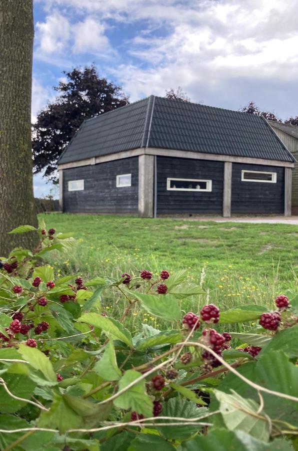 Vinkenbuurt De Bargヴィラ エクステリア 写真