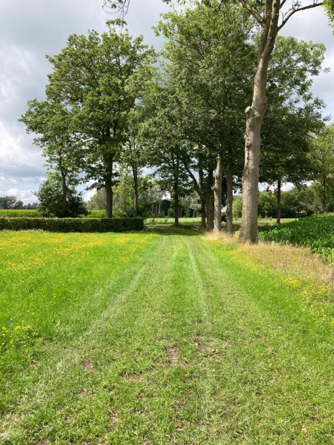 Vinkenbuurt De Bargヴィラ エクステリア 写真