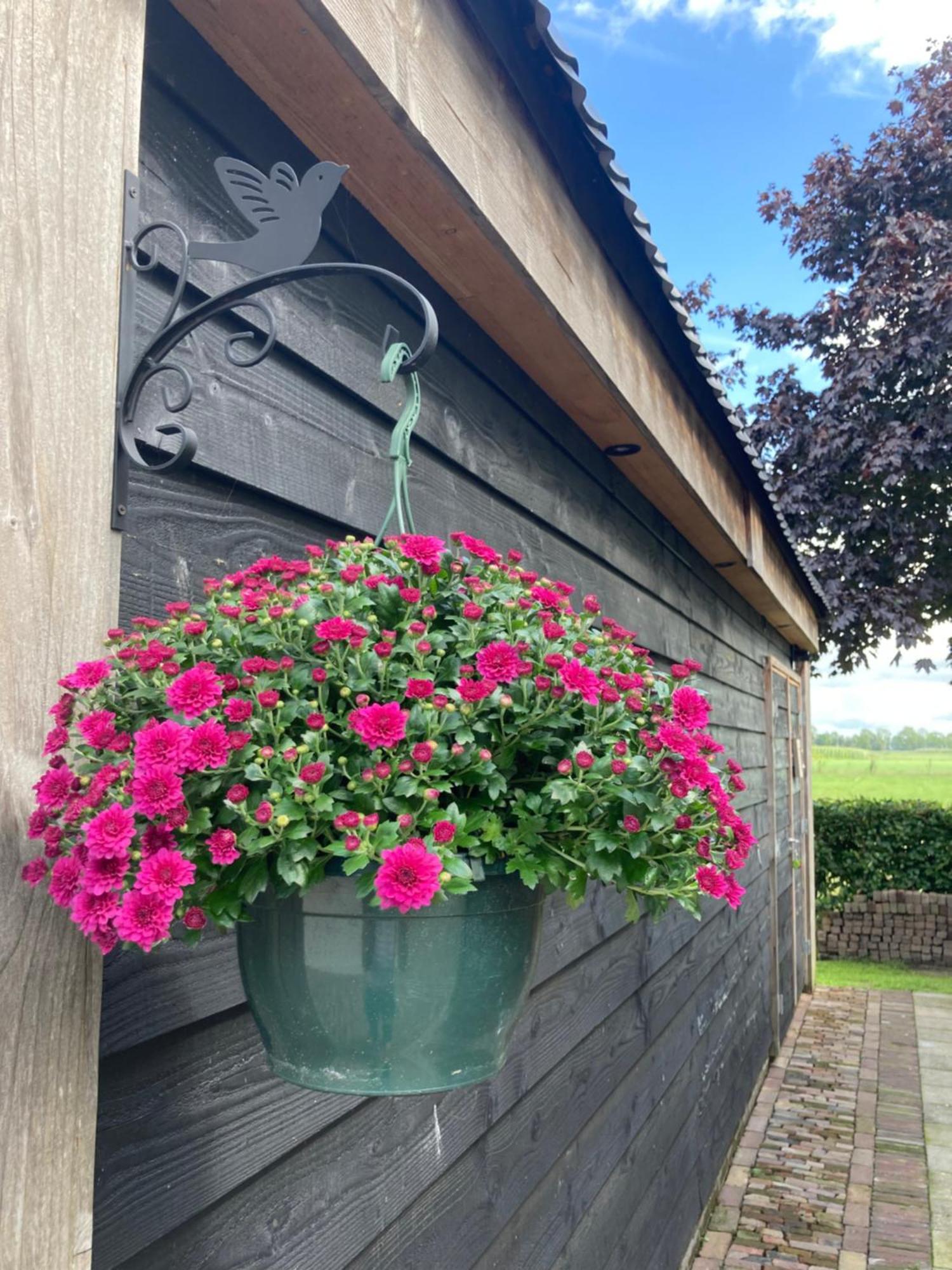 Vinkenbuurt De Bargヴィラ エクステリア 写真